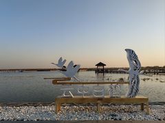 -南大港湿地风景区