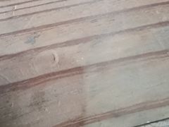 -阳光海鲜城(太仓万达店)