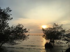 -宝安西湾红树林湿地公园