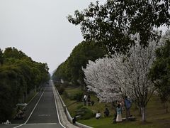 -武汉园博园(武汉自然博物馆)