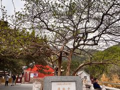 -潭柘寺景区
