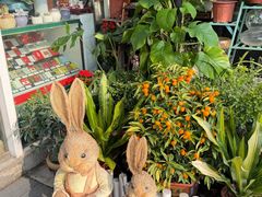 -FEI FEI FLOWER鲜花店·气球派对·宝宝宴布置(虹口德必运动Loft店)