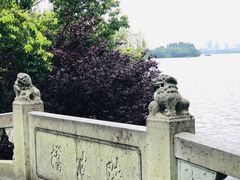 -苏堤停车场
