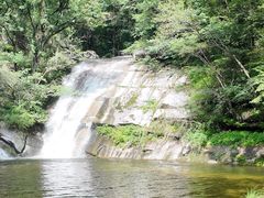 -内乡宝天曼生态旅游区