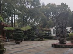 -南山植物园