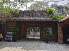 -燕塞湖鸟语林景区