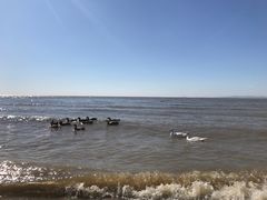 -农垦当壁镇兴凯湖旅游度假区