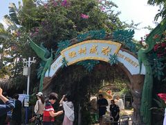 -瑞丽独树成林风景区