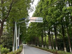 -状元楼(金溪路店)