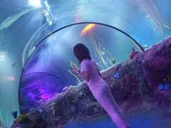 -沈阳海洋探索中心