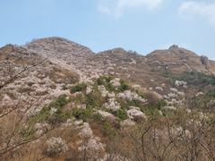 -妙峰山风景名胜区