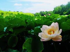 -重元寺