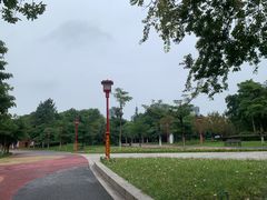 -眉山湿地公园(东坡区)