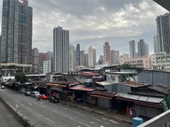 -油麻地果栏
