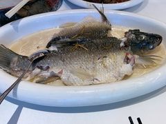-陶缘一号·四季缘·老字号顺德菜·户外婚礼家宴(西滘店)