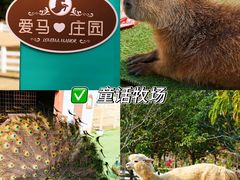 -盈香心动乐园