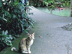 -马峦山郊野公园