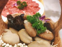 鲜香菇-雾都渣渣火锅(南城智汇城店)