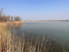 -野鸭湖国家湿地公园