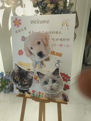 -花嫁丽舍婚礼殿堂(世博江景店)