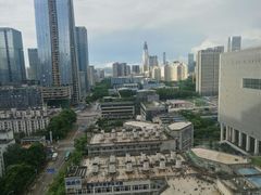 -深圳湾科技园丽雅查尔顿酒店