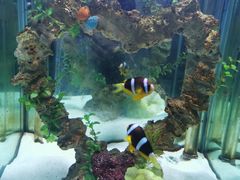 -太平洋海底世界