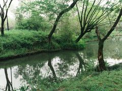 -西溪国家湿地公园