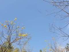 -鸿山公园