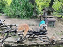 -宁波野生动物园