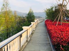 -余姚四明湖开元名都度假酒店·夏威夷西餐厅