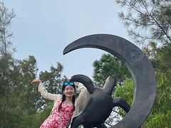 -广东惠东海龟国家级自然保护区