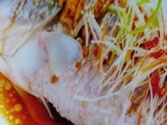 -微山岛春天里酒家