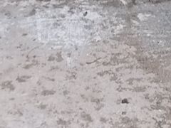 -南昌动物园