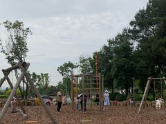 -铁山坪森林公园