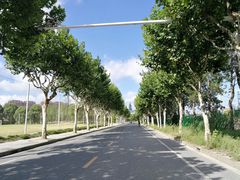 -同济大学(嘉定校区)