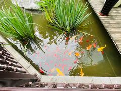 -聚缘堂·海鲜私房菜(松岭路店)