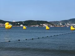 -大王村沙滩