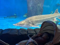 -多彩贵州城极地海洋世界