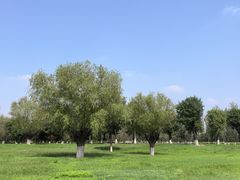 -汉长安城未央宫国家考古遗址公园