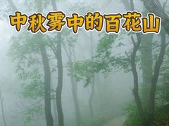 -白草畔自然风景区