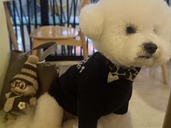 -樱の千渡日式料理·铁板烧•烧鸟(金盛田广场店)