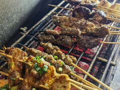 -山野的朋友露营炭火烤肉