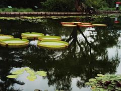 -国家植物园南园