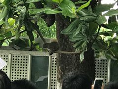 -杭州君悦酒店