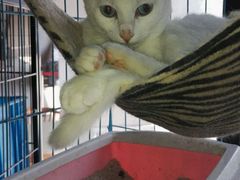 -赢吧Bliss音乐酒吧