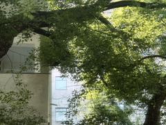 -湖北美术学院(昙华林校区)