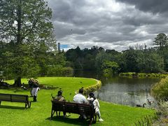 -墨尔本皇家植物园