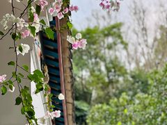 -深圳国际园林花卉博览园