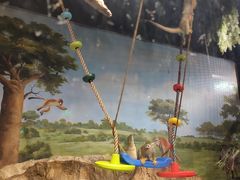 -绿色星球动物主题公园