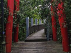-宝界山林公园